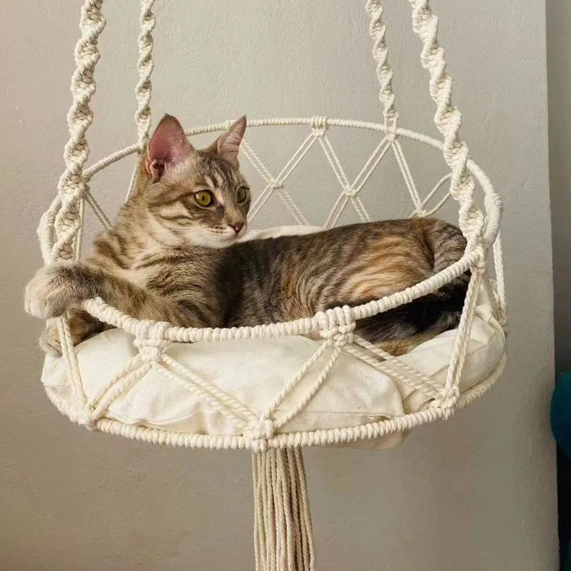 Cat Hammock,
