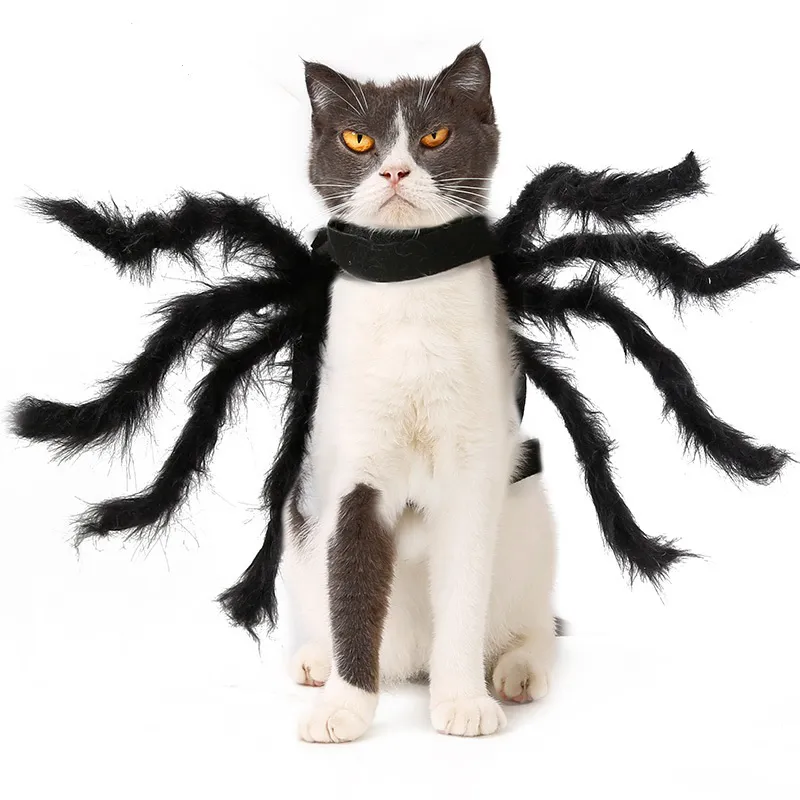 Dog and Cat Spider Costu