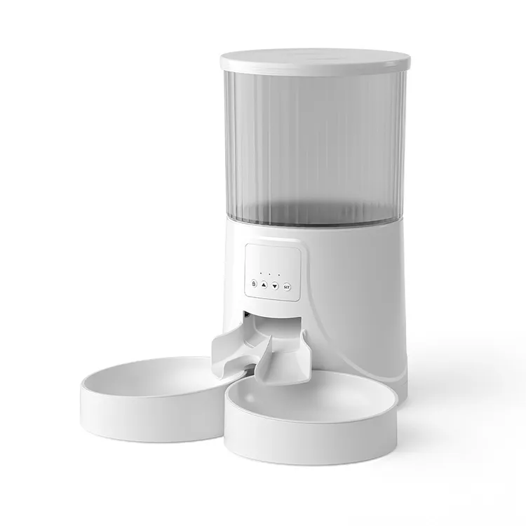 Peace of Mind Travel for