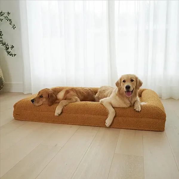 2024年先進穿着技巧的新預測