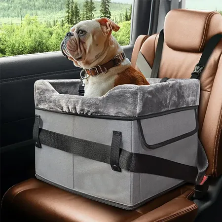 Dog Car Safe
