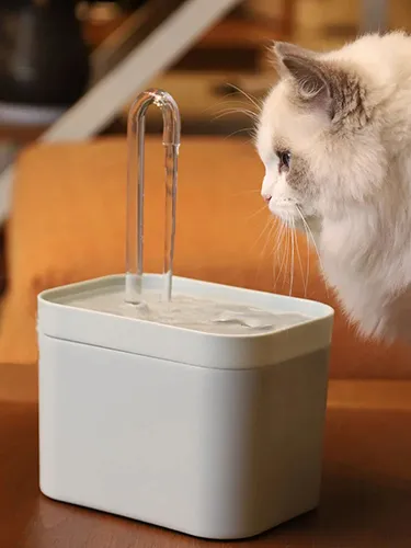 The Feline Hydration Dil