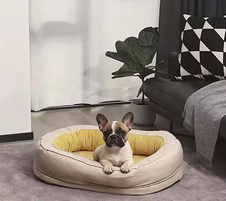 Why Does Your French Bul