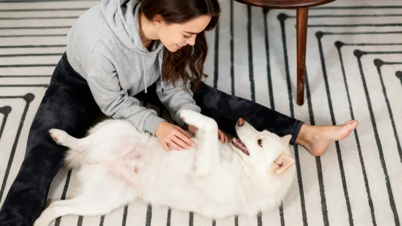 更换图片人像 .jpg