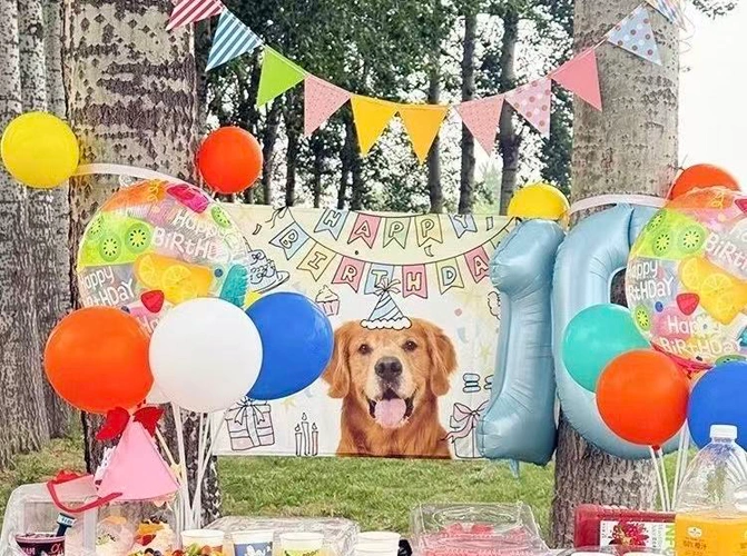 Golden Retriever Photo B